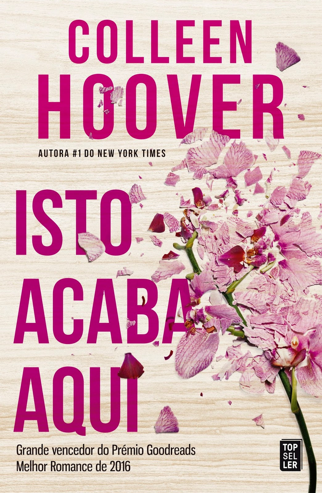 Isto Acaba Aqui - Colleen Hoover